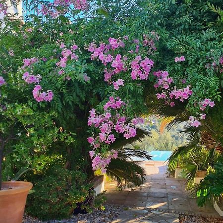 مبيت وإفطار Iznájar Cortijo La Haza المظهر الخارجي الصورة