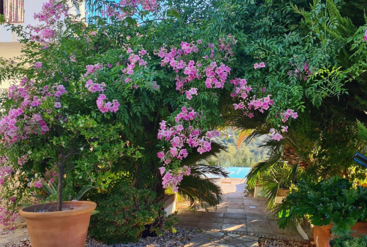 مبيت وإفطار Iznájar Cortijo La Haza المظهر الخارجي الصورة