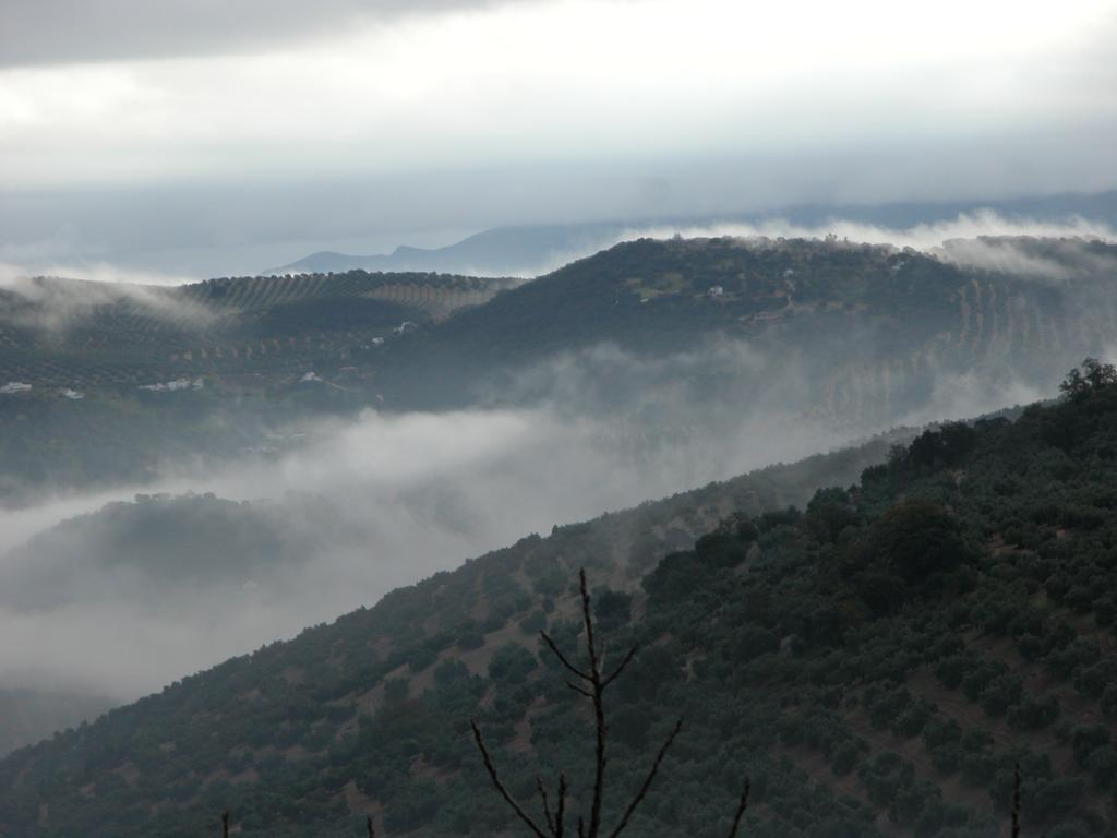 مبيت وإفطار Iznájar Cortijo La Haza المظهر الخارجي الصورة