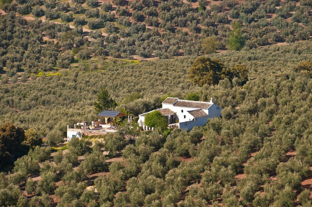 مبيت وإفطار Iznájar Cortijo La Haza المظهر الخارجي الصورة